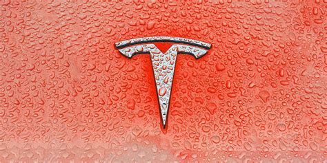 Someone who prefers a Harley over a Tesla Daily Themed .